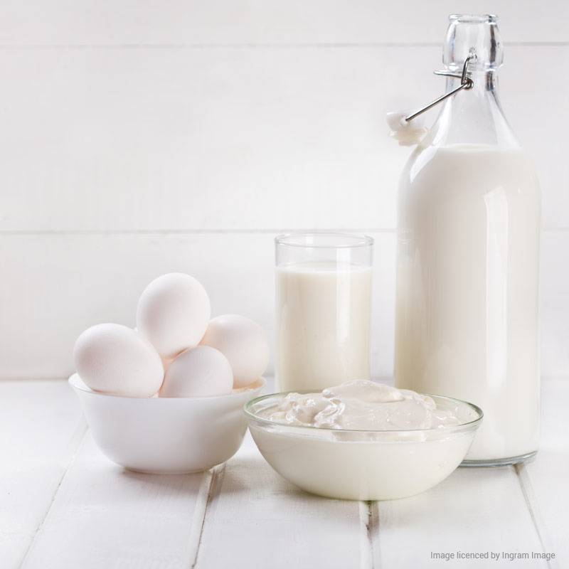 wlmAKTIV BILD Milch Eier Joghurt